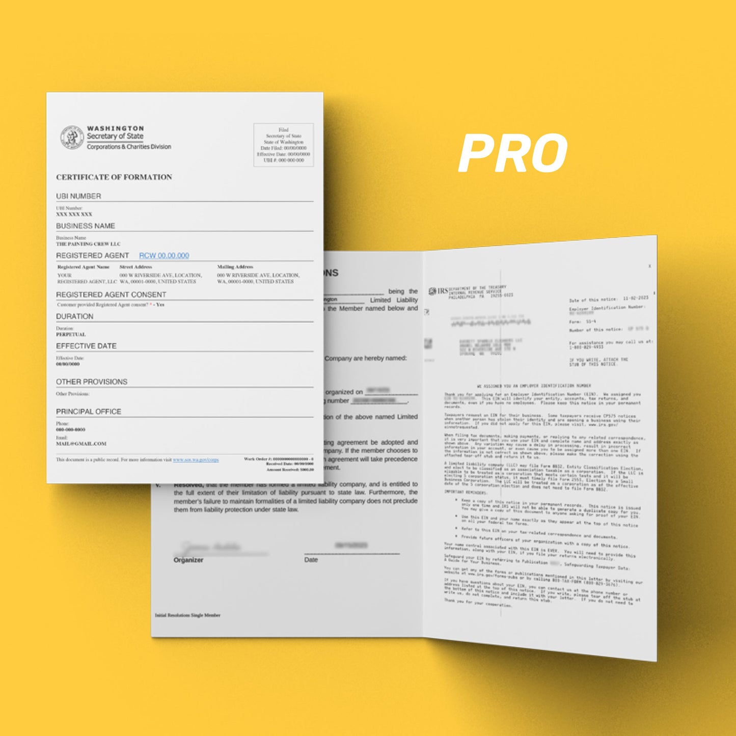 Incorporation - Pro Package